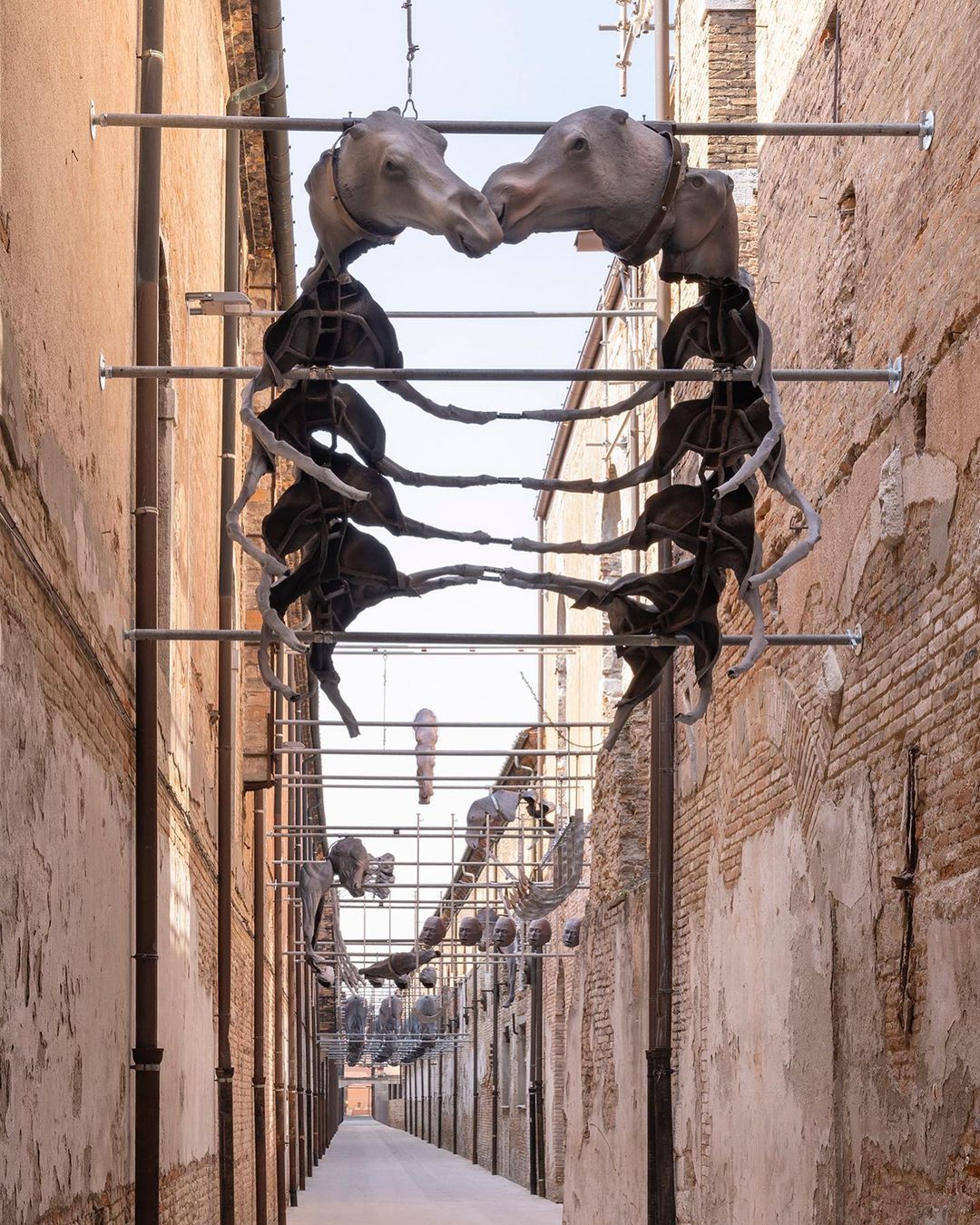 "Dead dance" by Giulia Cenci