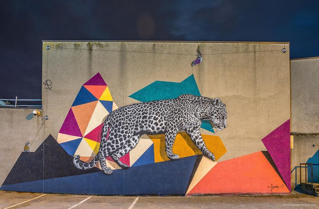 Hama Woods @ Aberdeen, UK