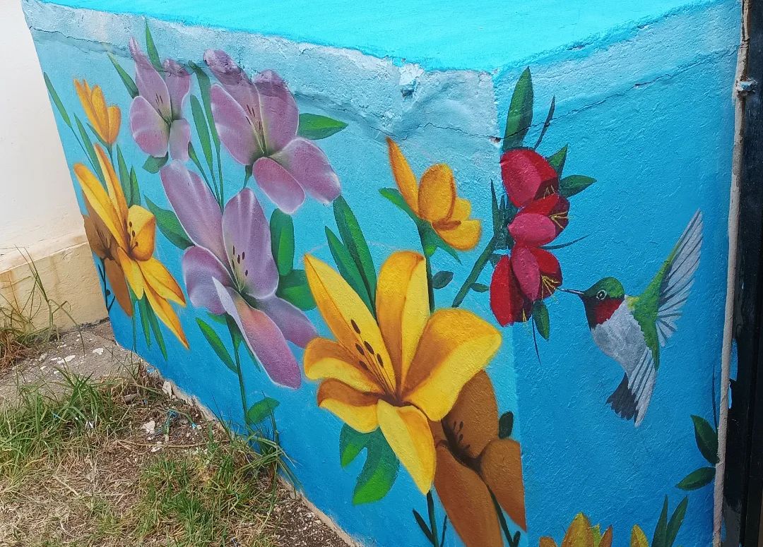 Martin Puga @ Viña del Mar, Chile