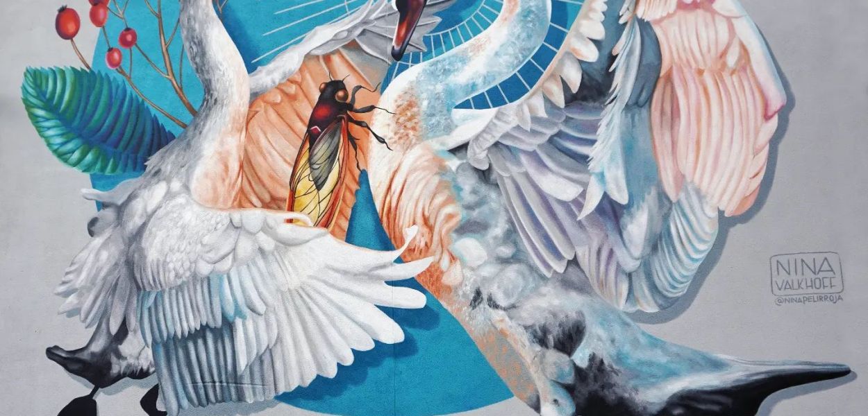 Nina Valkhoff @ Drogheda, Ireland