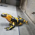 Odeith @ Portugal