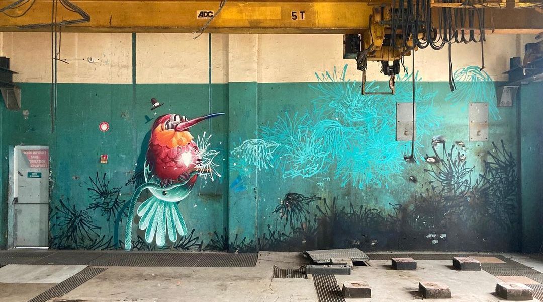 Stom500 + Fred Boulon @ Reunion