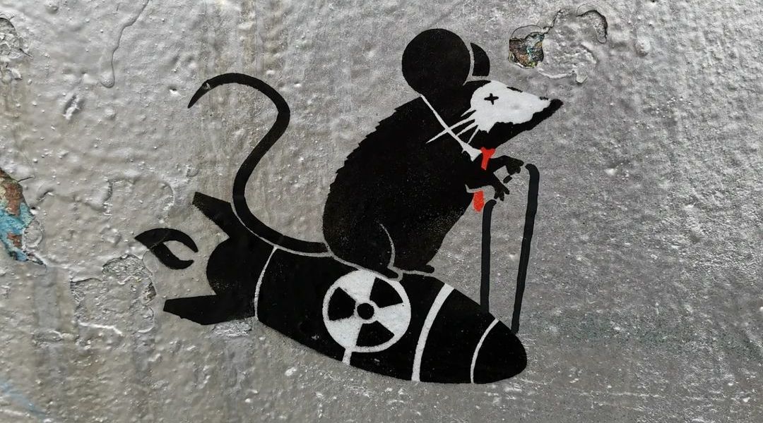 Tabby @ Vienna, Austria