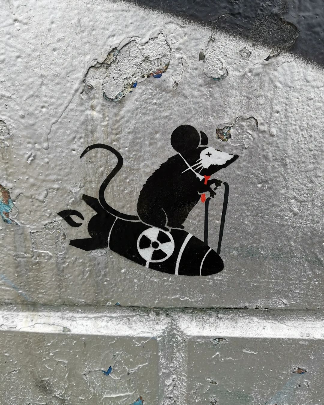 Tabby @ Vienna, Austria