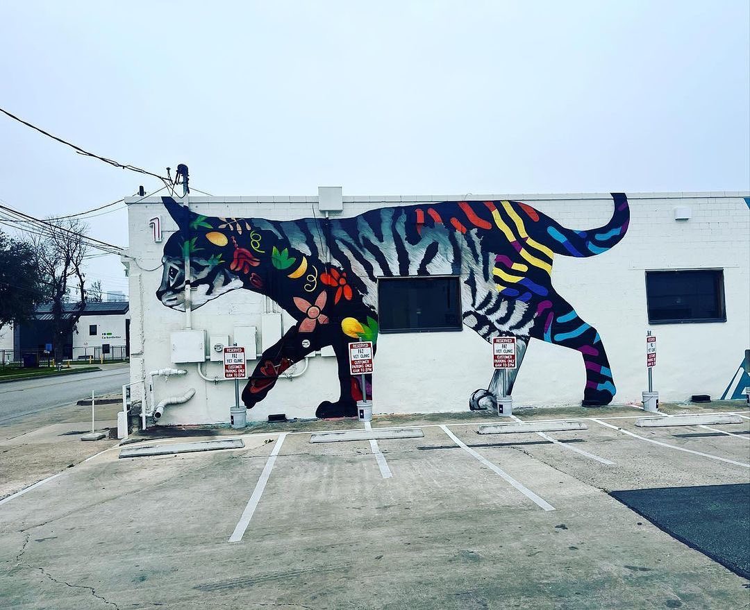 ULOANG @ Austin, Texas, USA