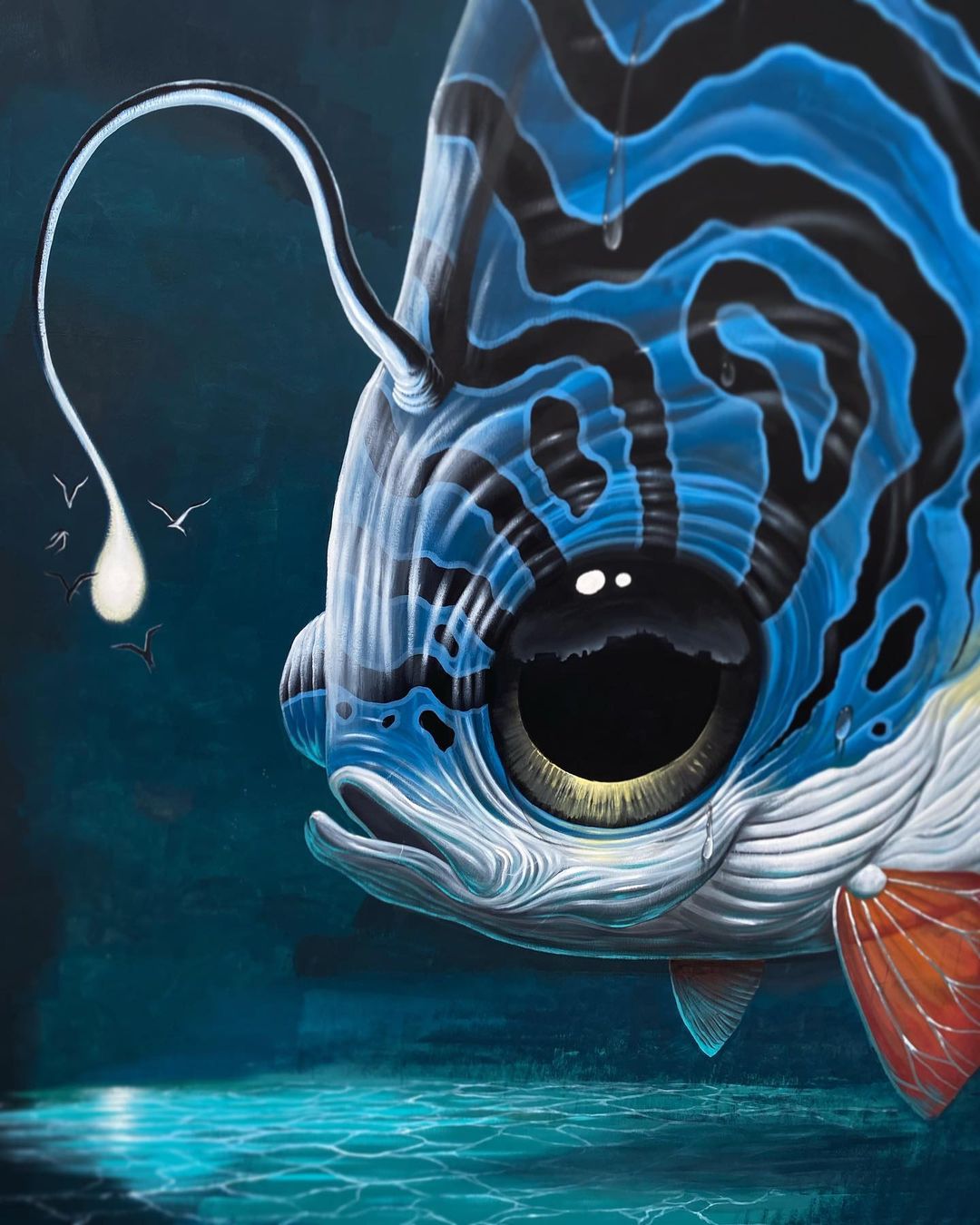 Veks Van Hillik @ Fort-de-France, Martinique, France