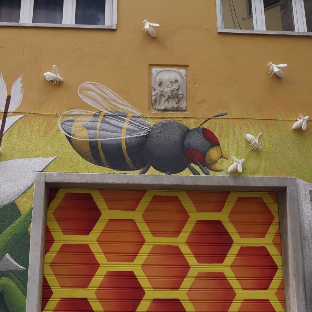 Zed1 @ Carrara, Italy