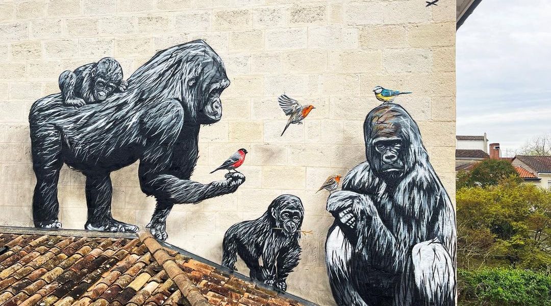 A-MO @ Bordeaux, France