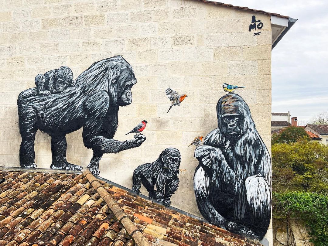 A-MO @ Bordeaux, France