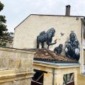A-MO @ Bordeaux, France
