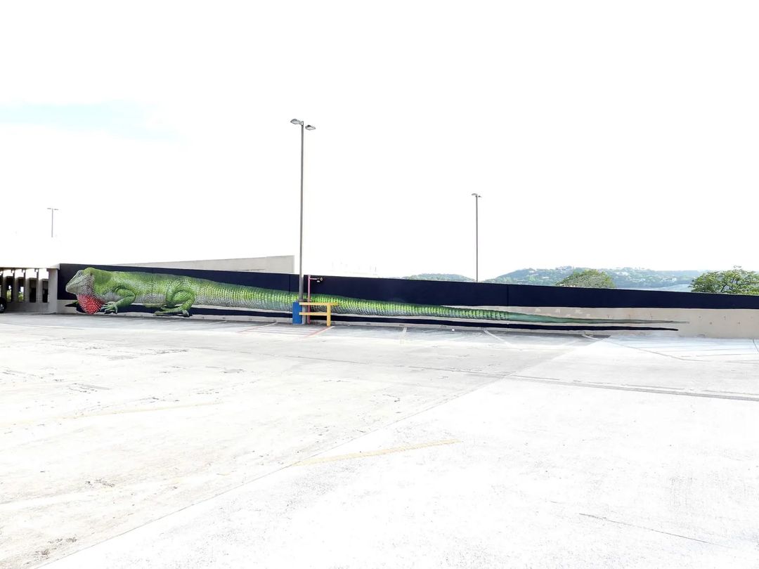 Anat Ronen @ Kerrville, Texas, USA