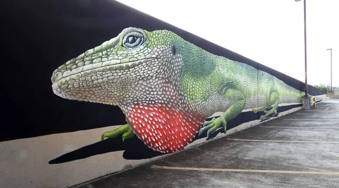 Anat Ronen @ Kerrville, Texas, USA