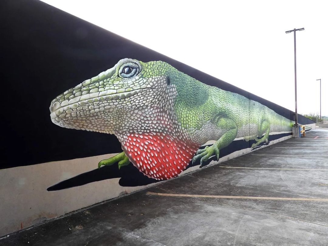 Anat Ronen @ Kerrville, Texas, USA