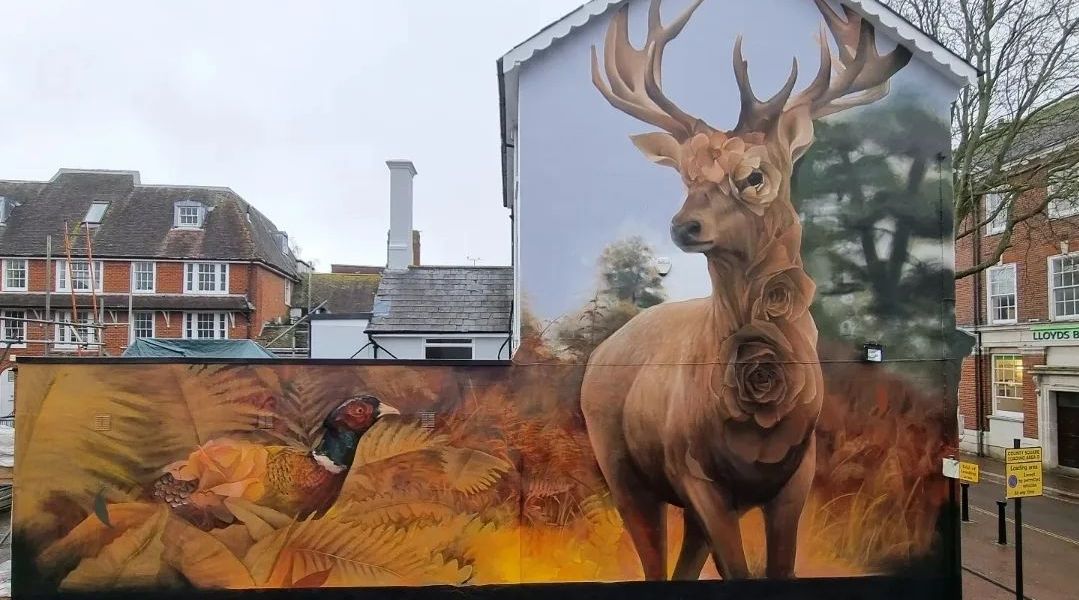 Curtis Hylton @ Ashford, UK