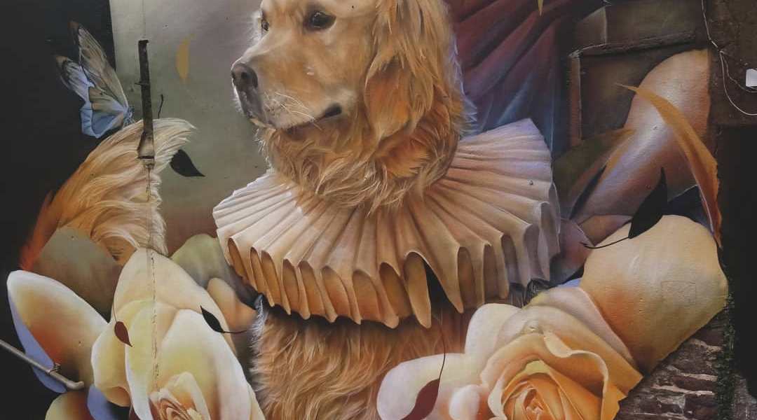 Curtis Hylton @ Waterford, Ireland