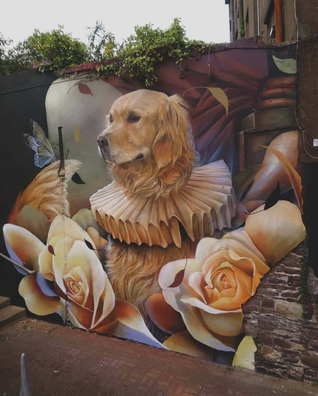 Curtis Hylton @ Waterford, Ireland