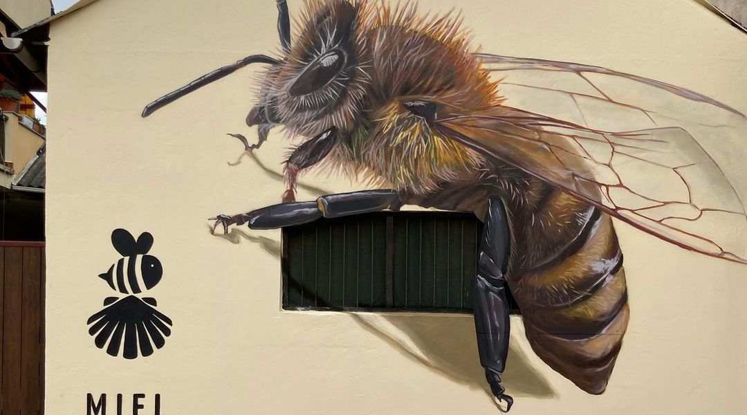 Dadospuntocero @ Cacabelos, Spain