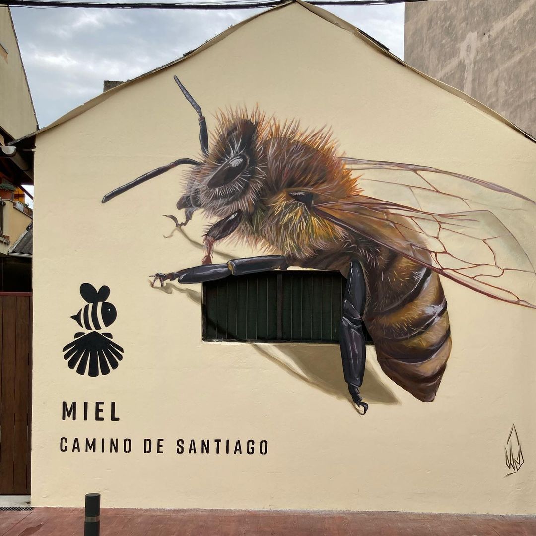 Dadospuntocero @ Cacabelos, Spain