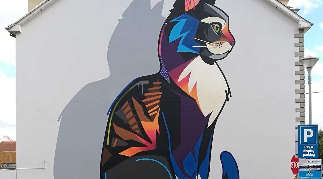 Dan Leo @ Waterford, Ireland