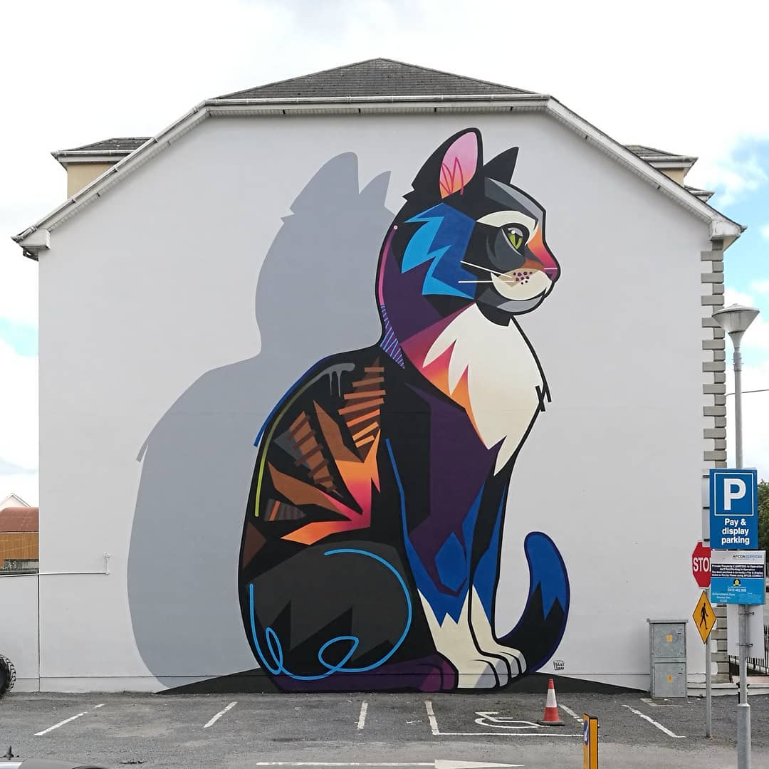 Dan Leo @ Waterford, Ireland Dan Leo @ Waterford, Ireland