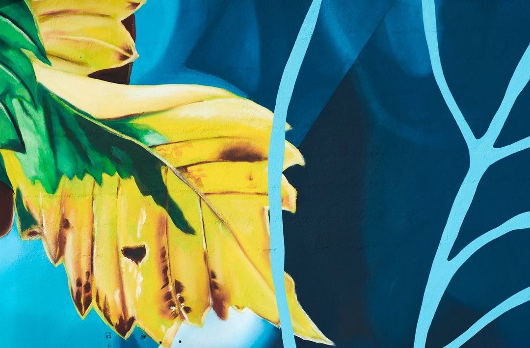 Fabio Petani @ Comacchio, Italy