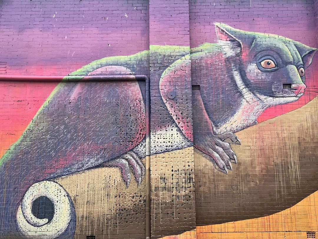 Hayden Dewar @ Dandenong, Australia