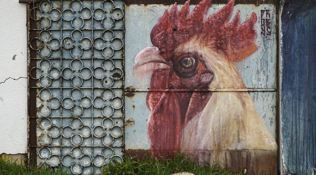 Imane Droby @ Oualidia, Morocco