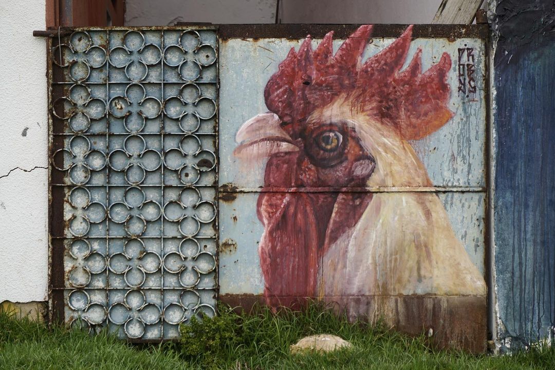 Imane Droby @ Oualidia, Morocco