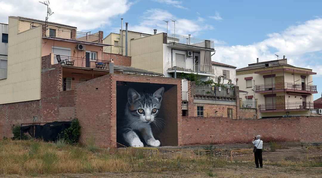 Oriol Arumi @ Torrefarrera, Spain (After)