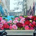 Patrick Appere @ Paris, France