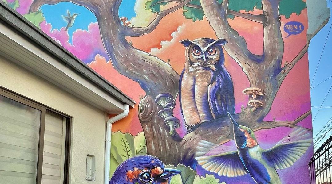 Ren 1 @ Concepción, Chile