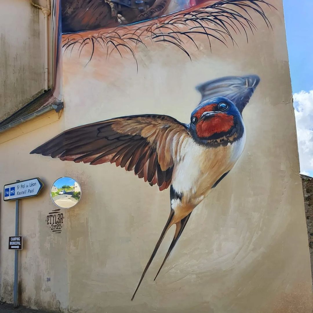 Styler @ Henvic, France