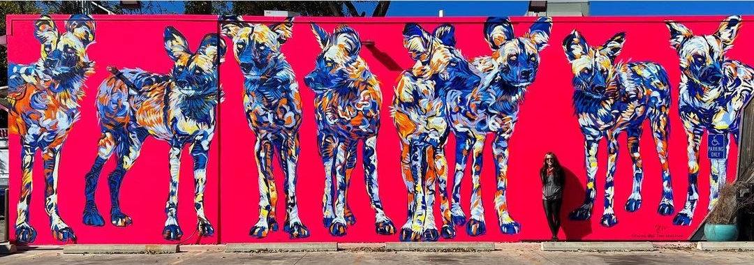 Toni Ardizzone @ Austin, Texas, USA