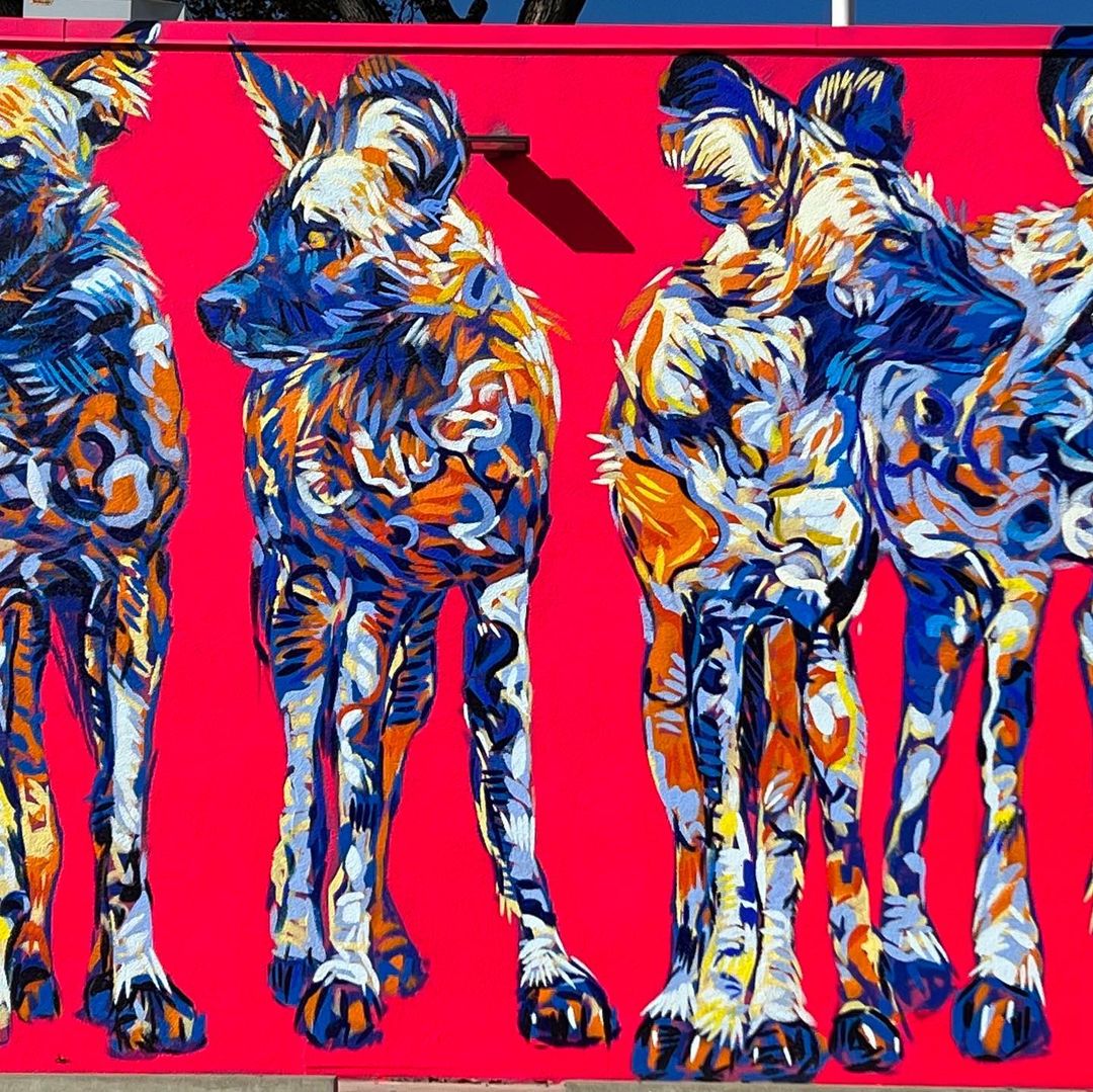 Toni Ardizzone @ Austin, Texas, USA