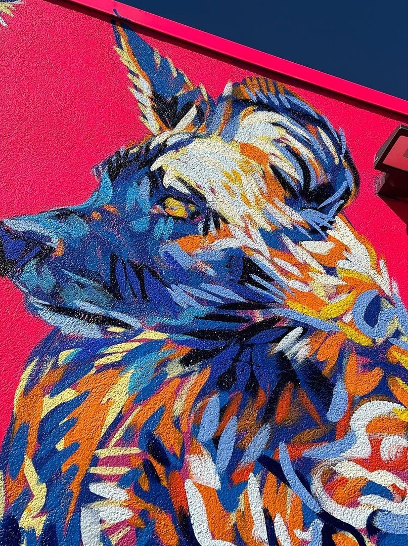 Toni Ardizzone @ Austin, Texas, USA