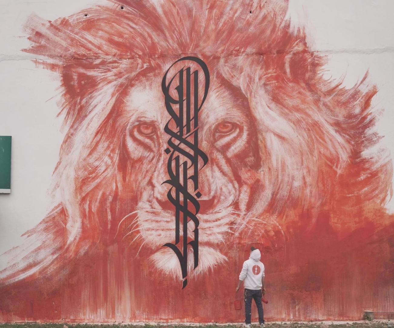 Vierwind @ Oualidia, Morocco