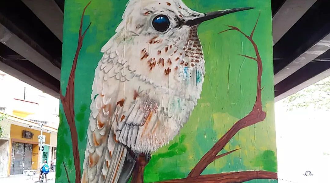 Vitones @ Sao Paulo, Brazil