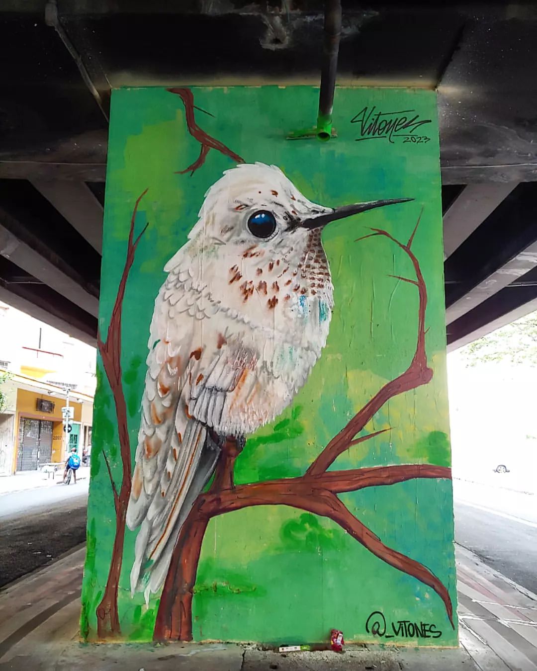 Vitones @ Sao Paulo, Brazil