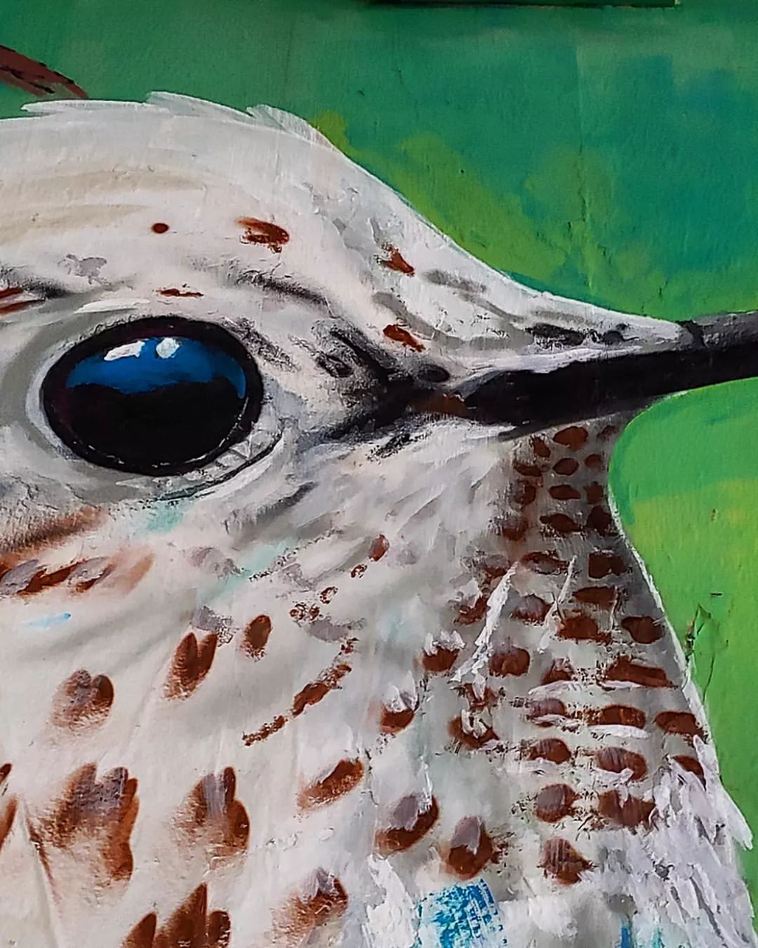 Vitones @ Sao Paulo, Brazil