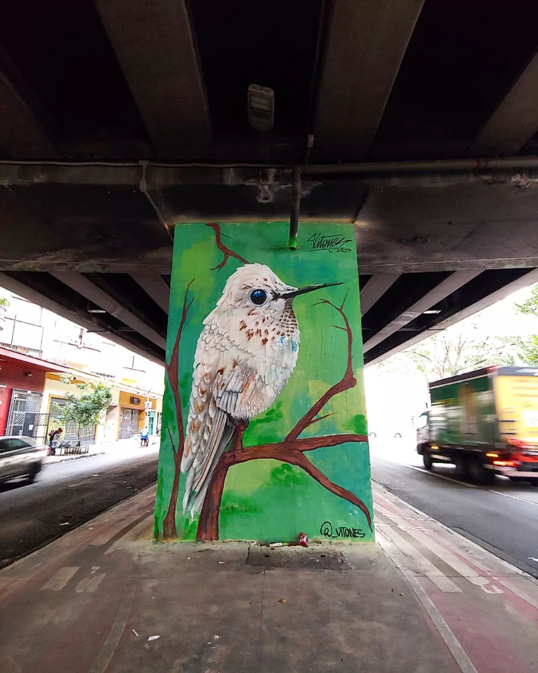 Vitones @ Sao Paulo, Brazil