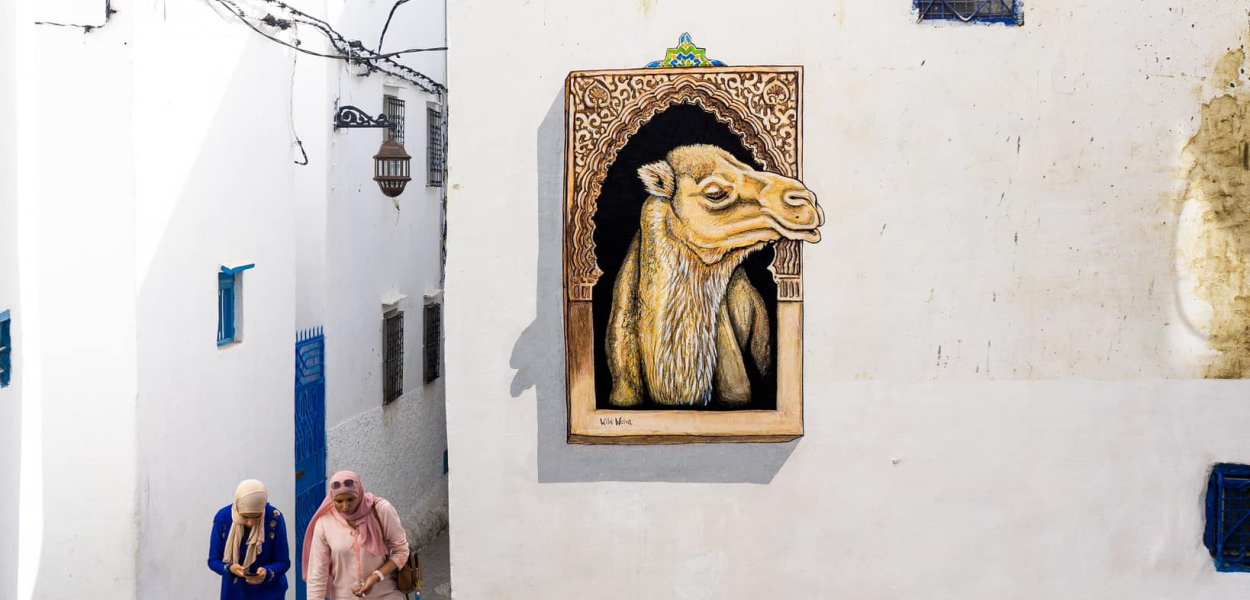 Wild Welva @ Tangier, Morocco