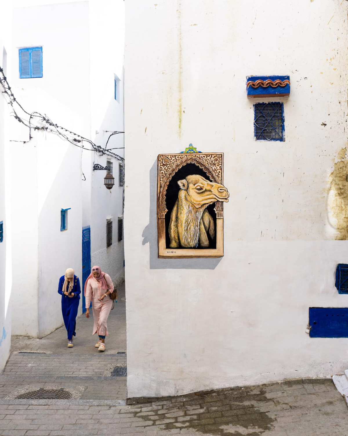 Wild Welva @ Tangier, Morocco