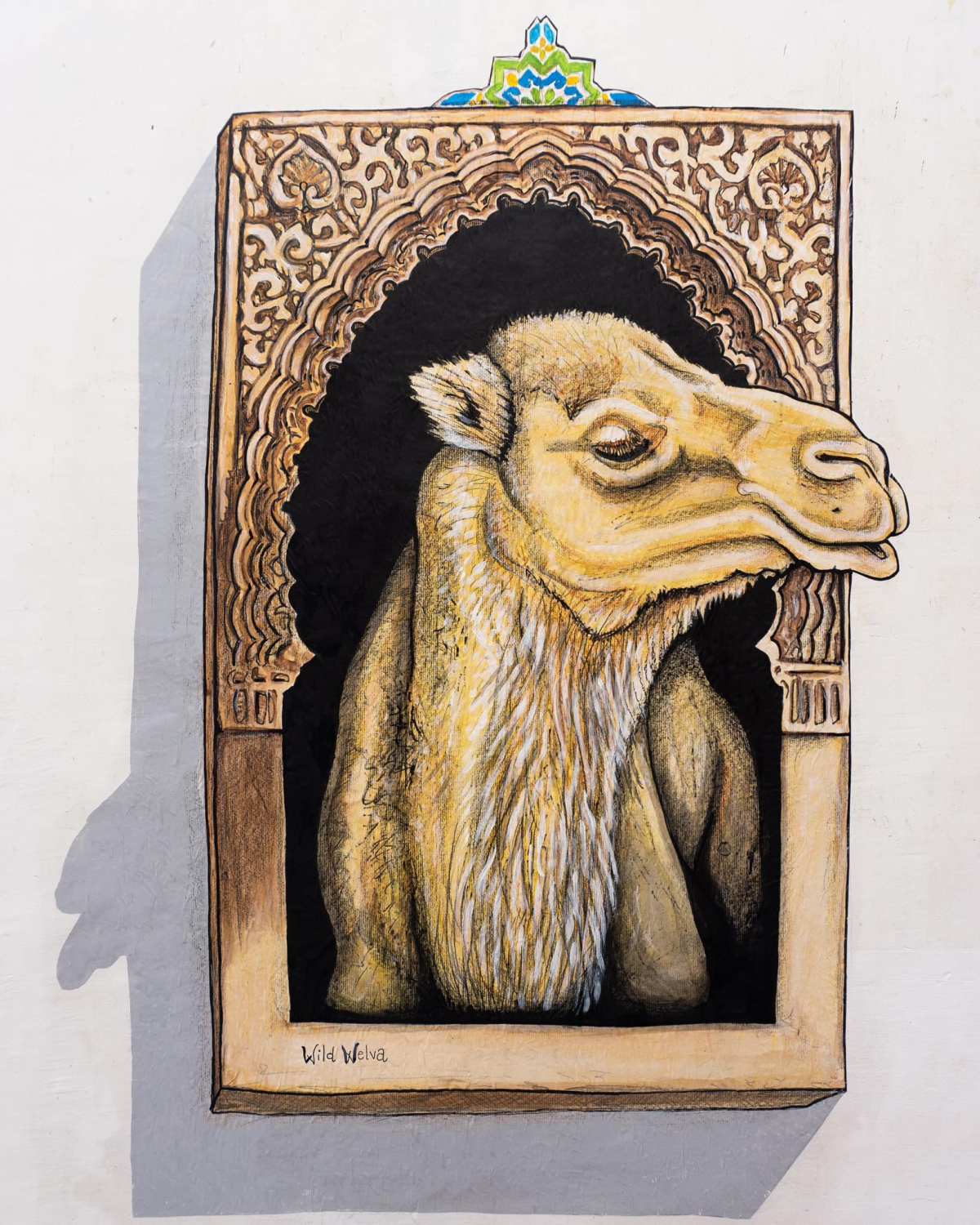 Wild Welva @ Tangier, Morocco