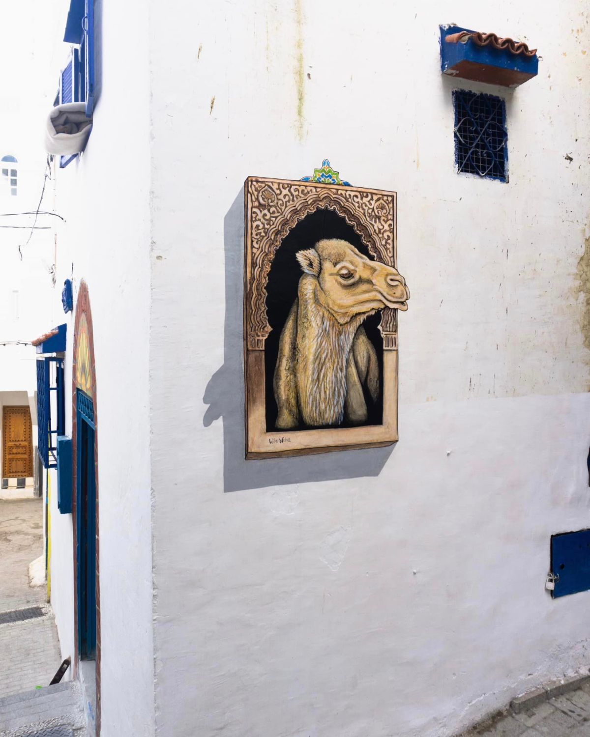 Wild Welva @ Tangier, Morocco