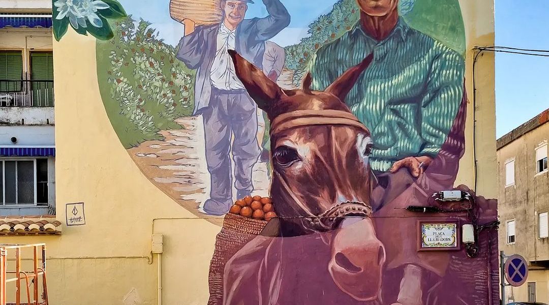 AlaniZ @ Gandia, Spain