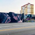 Claudio Picasso + BKFoxx @ Miami, Florida, USA