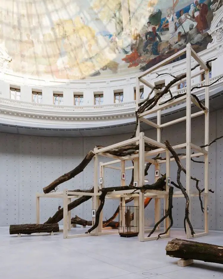 "Tropeaolum" by Danh Vo