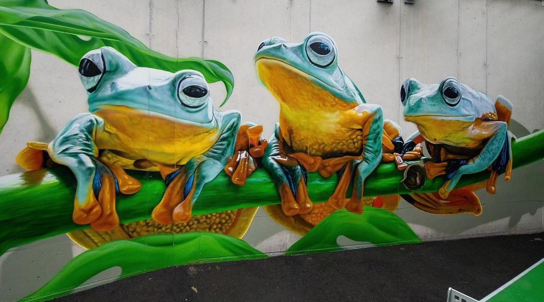 Fabian Bane Florin @ Kriens, Switzerland