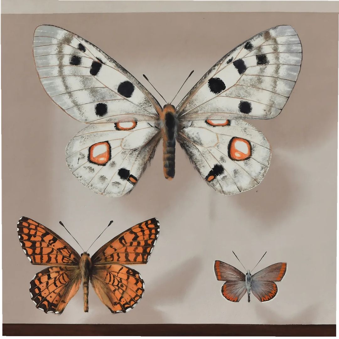 Mantra @ Arcugnano, Italy