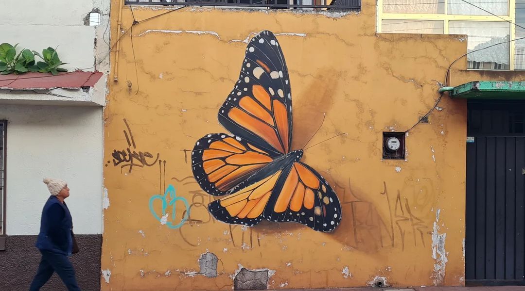 Mantra @ Zitacuaro, Mexico